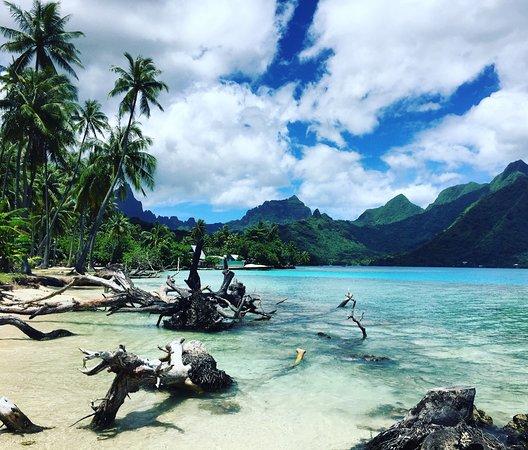 Ta'ahiamanu Beach
