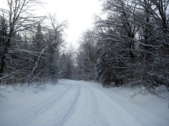 Snowmobile Vermont