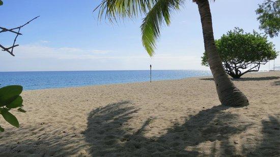 Playa Laiya