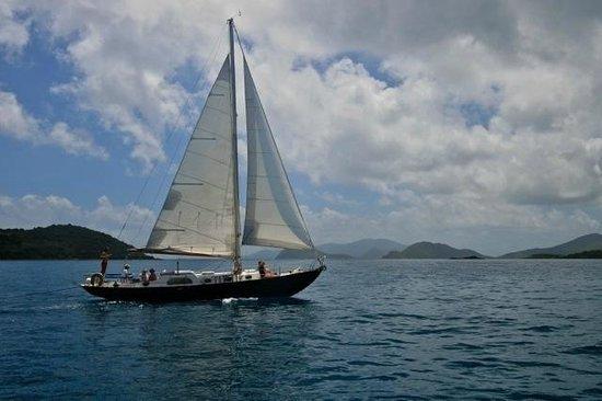 Sail With Captain Max