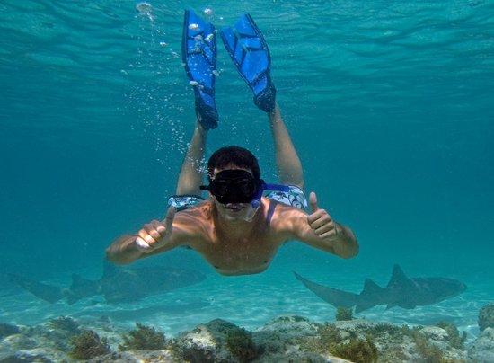 Marinarium Excursions Snorkeling Cruise