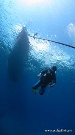 Bali Scuba Masters
