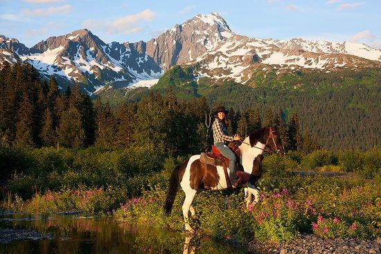 Bardy's Trail Rides - Day Tour