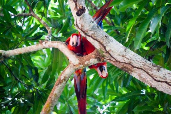 Tiquicia Tours