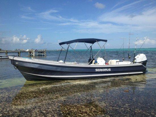 Seakarus Tours