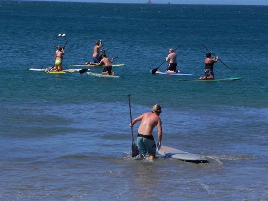 Dulce Vida Paddle Boarding