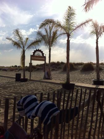 Mango's Beach Bar