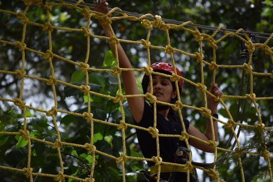 Grange TreeTop Adventure