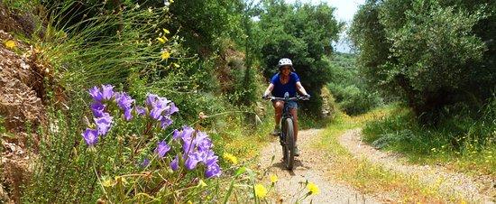 Cycling Creta