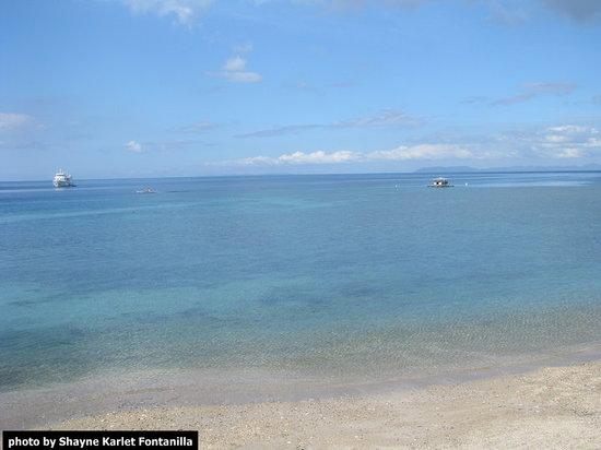 Anilao Diving Tour - Pacific Blue Dive Center