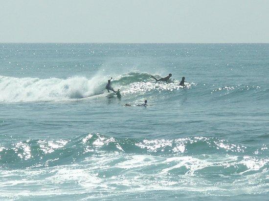 Shaka Sign Surf Camps