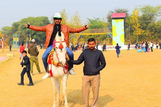 Rajwada Farms