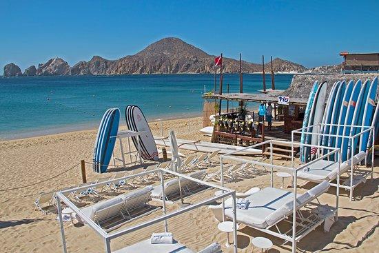 Ocean+Desert Tours