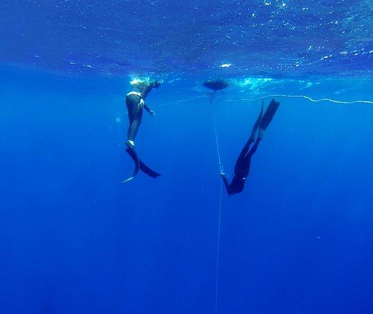 Freedive Cosmos