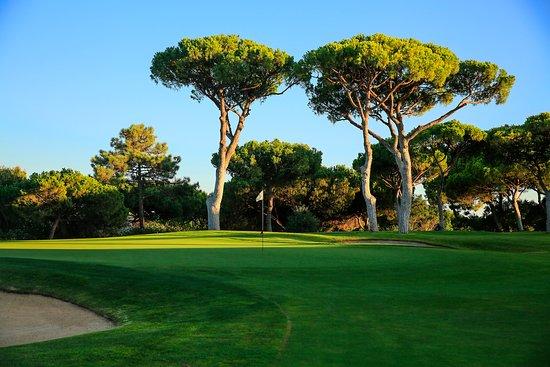 Campo de Golfe The Old