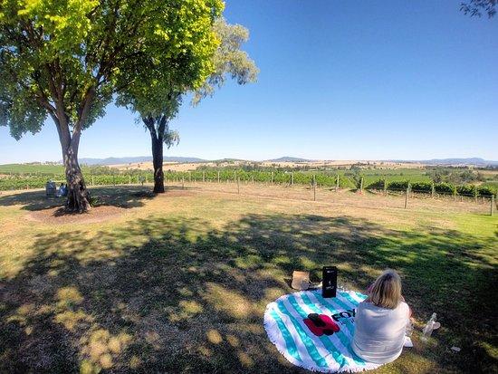 Yarrawood Winery