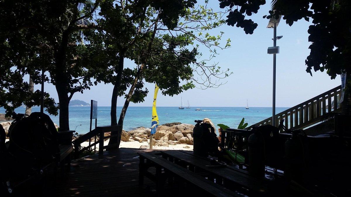 Pro Diver's World