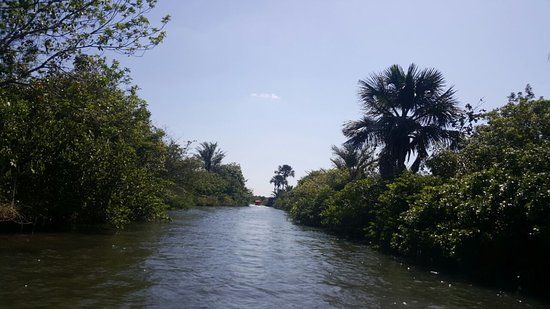Rio Preguicas