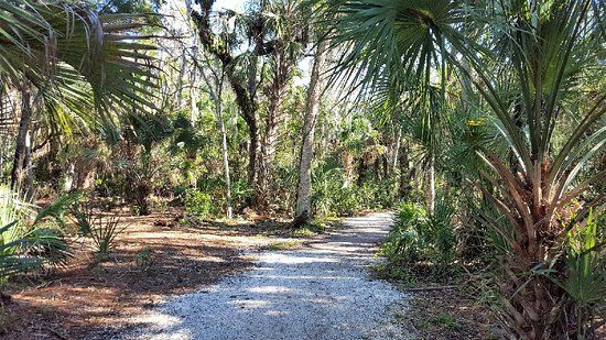 Hammock Park