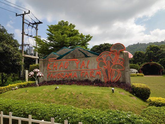 Panorama Farm