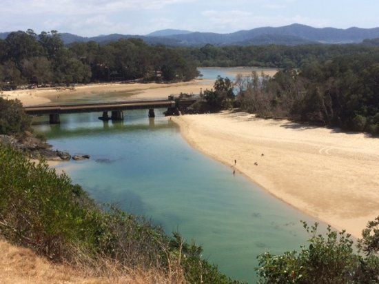 Boambee Creek Reserve