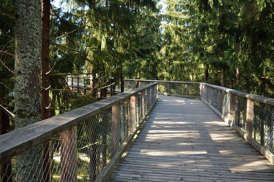 Baumwipfelpfad Lipno