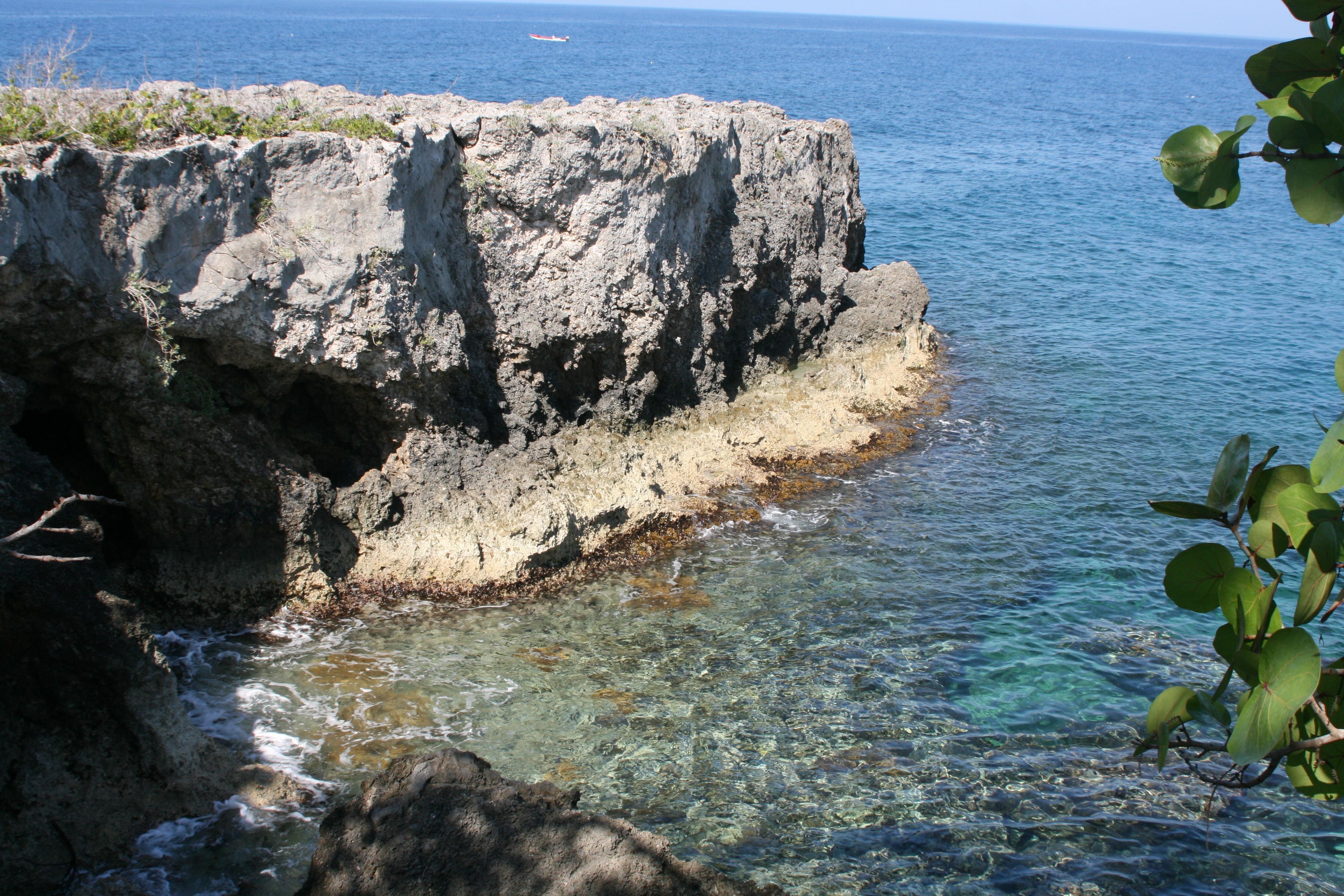 Negril Library