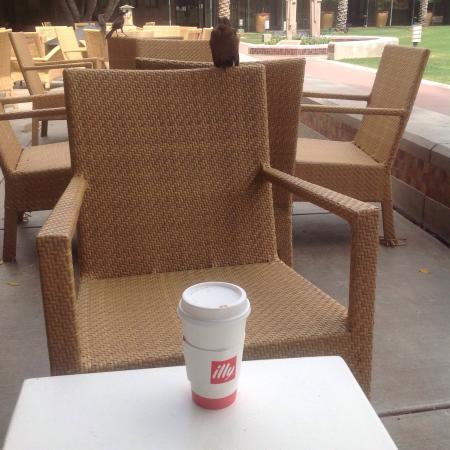 The Cafe