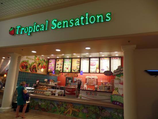 Tropical Sensations