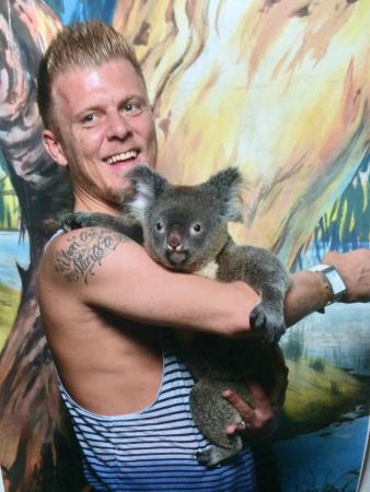 Cairns Night Zoo