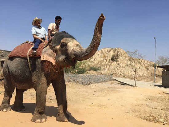Hathi Gaon