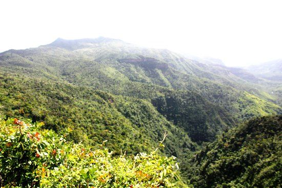 Macchabee Viewpoint