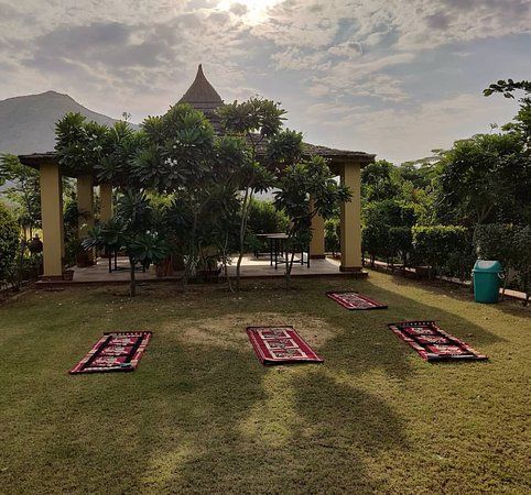 Yoga in Jaipur