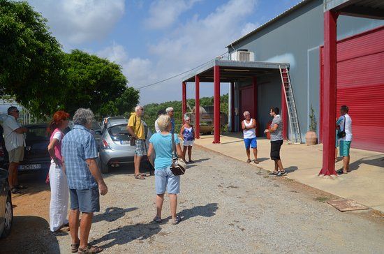 Klados Winery