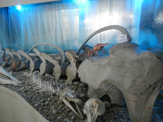 Museu das Concha de Corfu