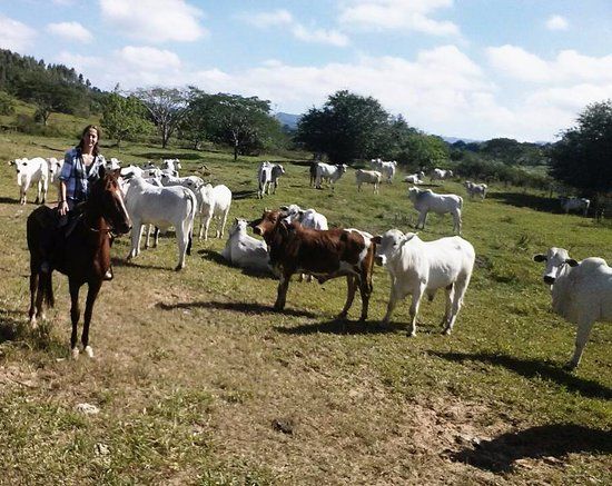 Rancho do Kajuba