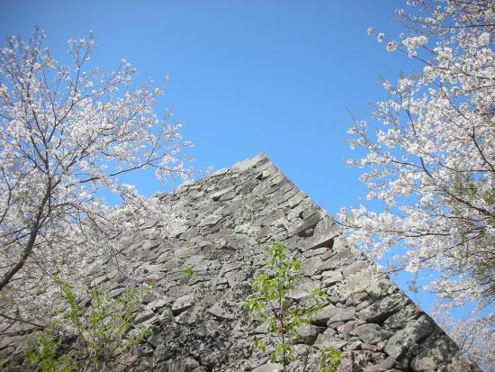 Hiji Castle Ruin