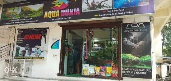 AquaDunia