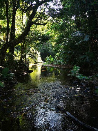 Dreaming Trail