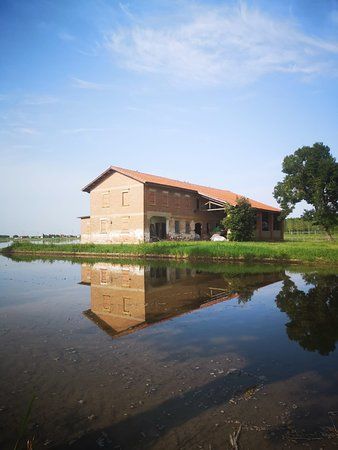 Azienda Agricola La Fagiana
