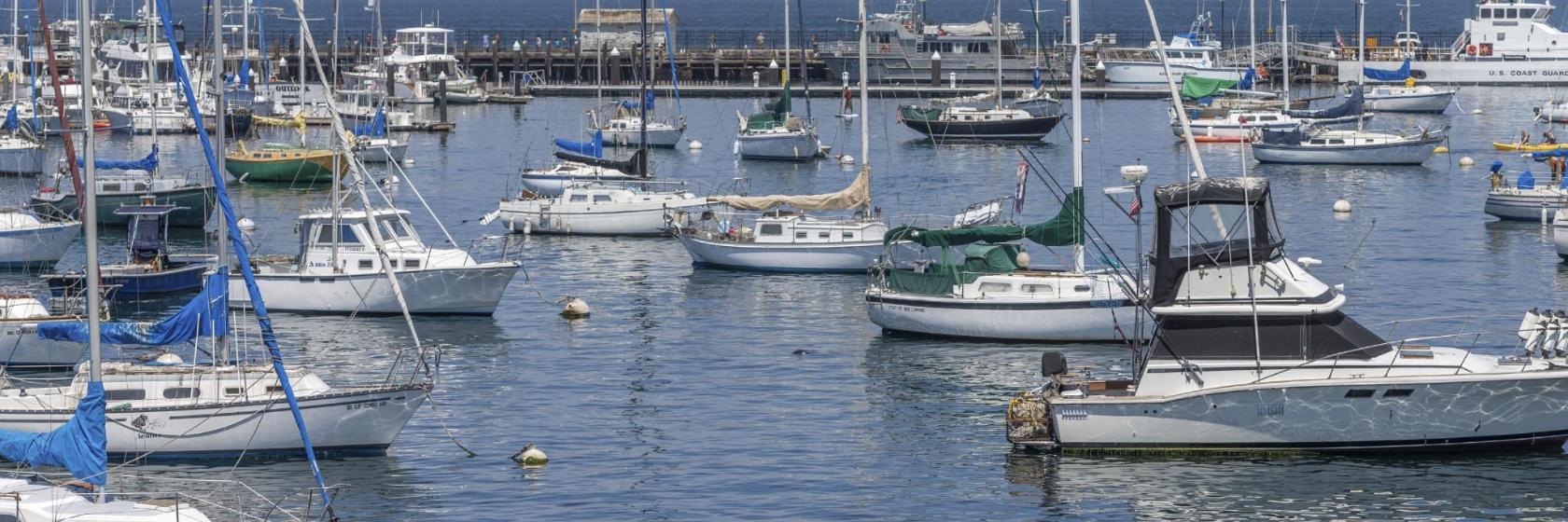 Didim Marina
