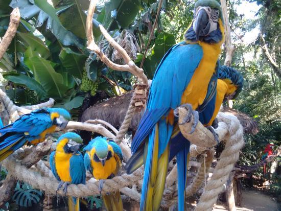 Parque de las Aves
