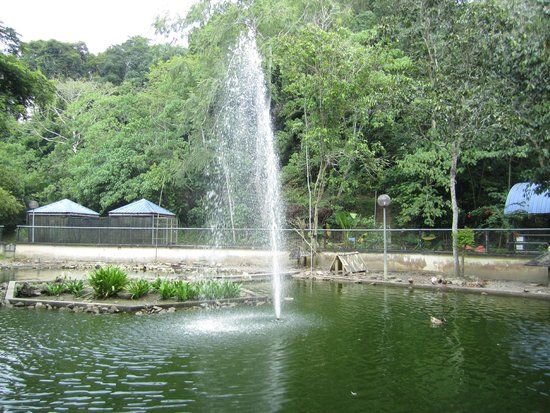 Labuan fågelpark