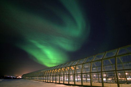 Arktikum