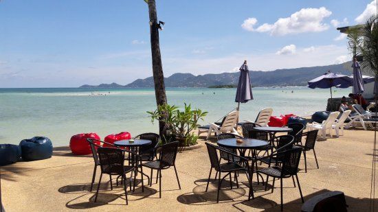 Au Cafe des Arts