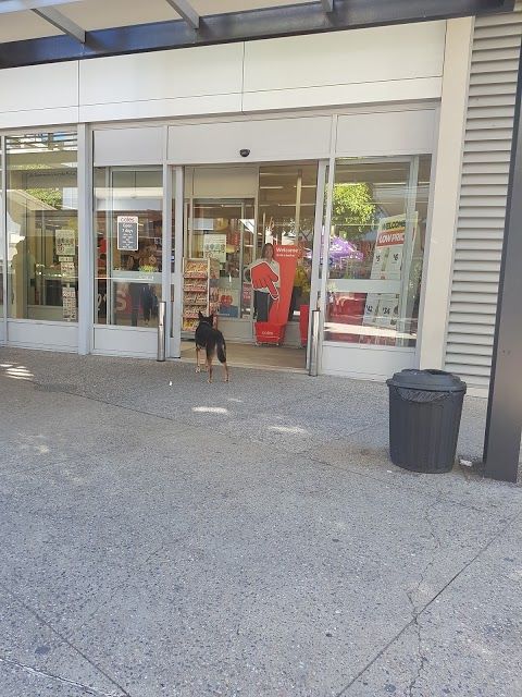 Coles Miami