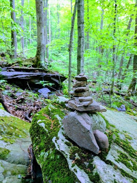 Tanbark Trail