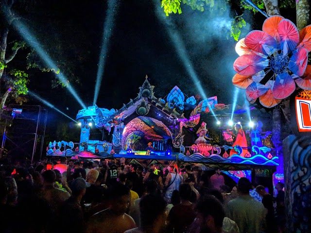 Jungle Experience