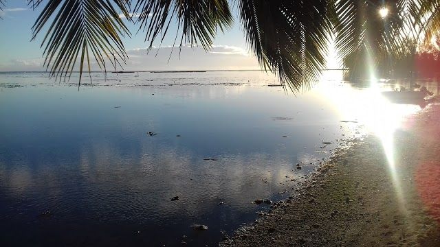 Maharepa