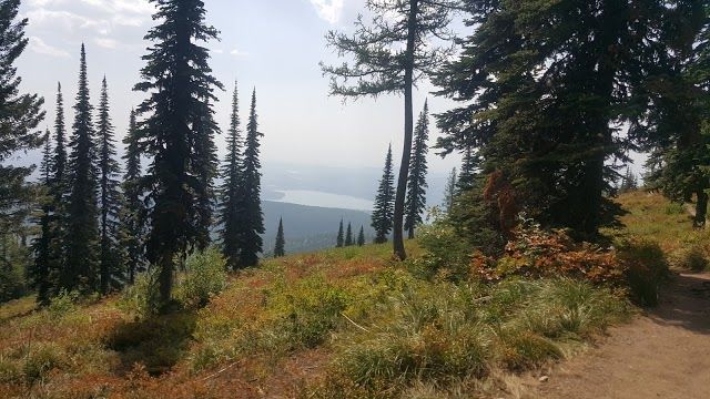 Danny On Trail
